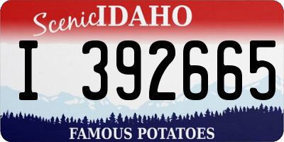 ID license plate I392665