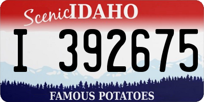 ID license plate I392675