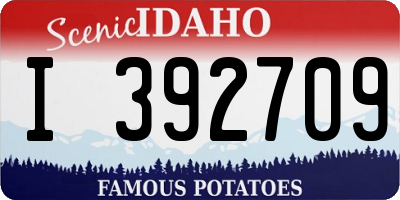ID license plate I392709