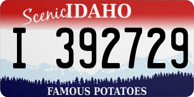ID license plate I392729