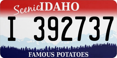 ID license plate I392737