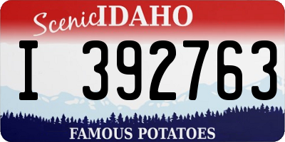 ID license plate I392763