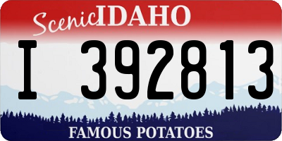 ID license plate I392813
