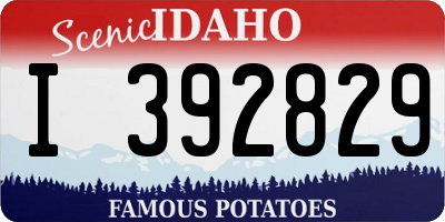 ID license plate I392829