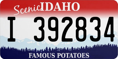 ID license plate I392834