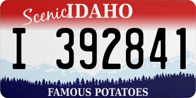 ID license plate I392841