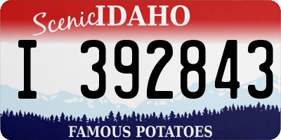ID license plate I392843