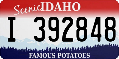 ID license plate I392848