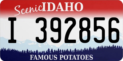 ID license plate I392856