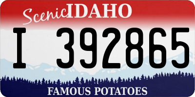 ID license plate I392865