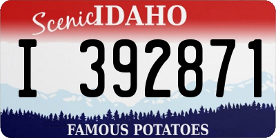 ID license plate I392871