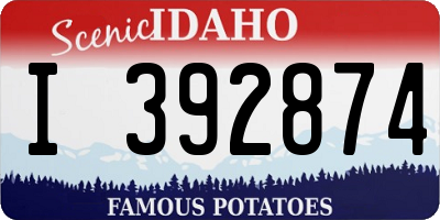 ID license plate I392874