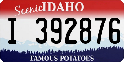 ID license plate I392876