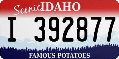 ID license plate I392877