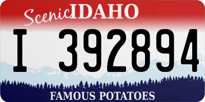 ID license plate I392894
