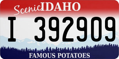 ID license plate I392909