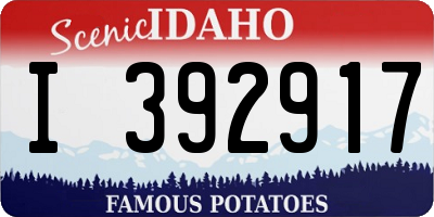 ID license plate I392917