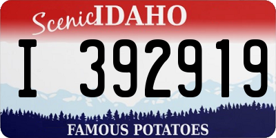 ID license plate I392919