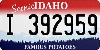 ID license plate I392959
