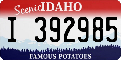 ID license plate I392985