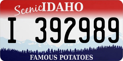ID license plate I392989