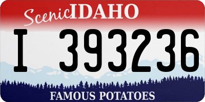 ID license plate I393236