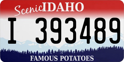 ID license plate I393489
