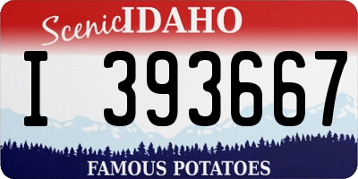 ID license plate I393667