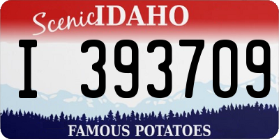 ID license plate I393709