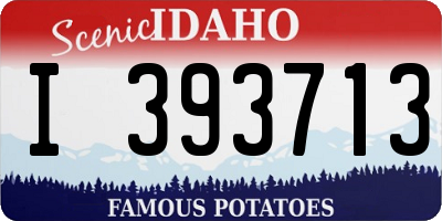 ID license plate I393713