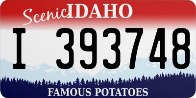 ID license plate I393748