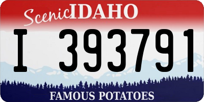 ID license plate I393791