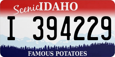 ID license plate I394229