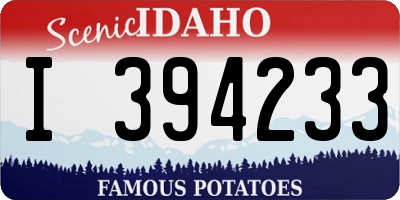 ID license plate I394233
