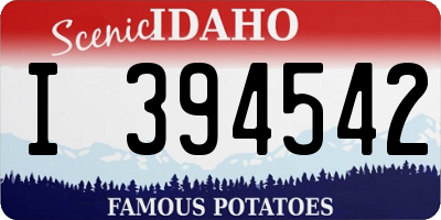ID license plate I394542