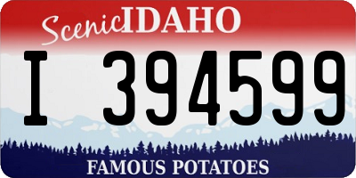 ID license plate I394599