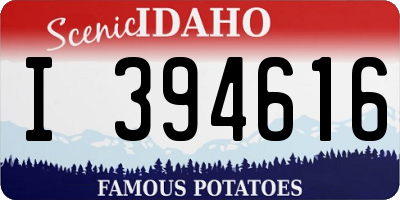 ID license plate I394616