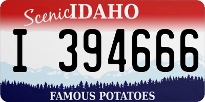 ID license plate I394666
