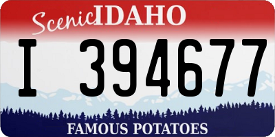 ID license plate I394677