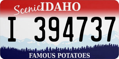 ID license plate I394737