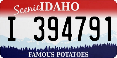 ID license plate I394791