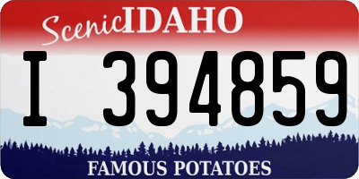 ID license plate I394859
