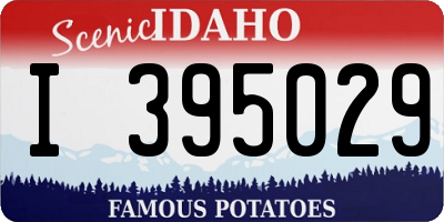 ID license plate I395029