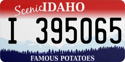 ID license plate I395065