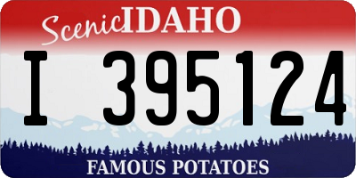 ID license plate I395124