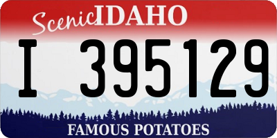 ID license plate I395129