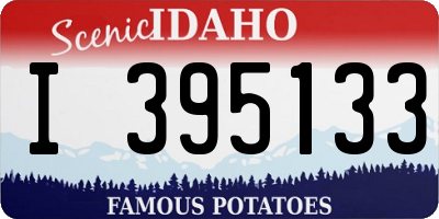 ID license plate I395133