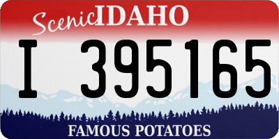 ID license plate I395165