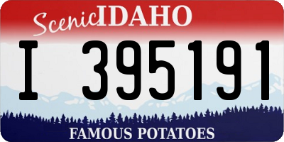 ID license plate I395191