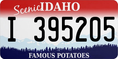 ID license plate I395205